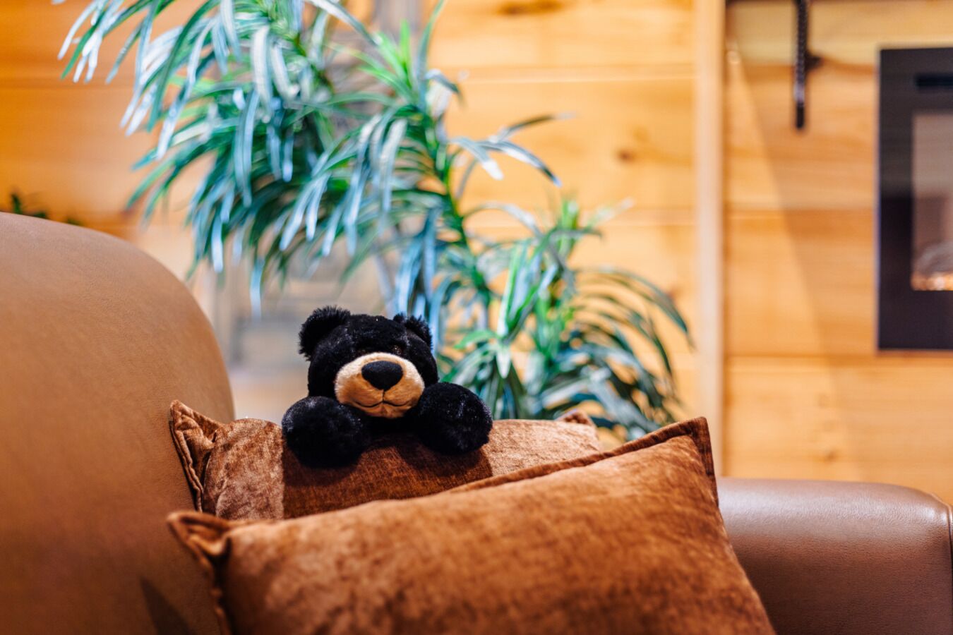 A plush teddy bear on a brown pillow on a leather couch.
