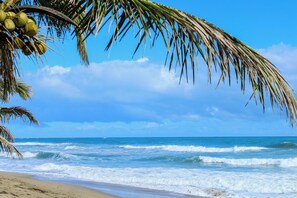 Private beach, white sand, sun-loungers, beach towels - ResCristamar CMA304 Cabarete POP (Cabarete)