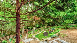 Un jardin arboré avec un sentier en pierre, une clôture en bois et un espace de détente extérieur.