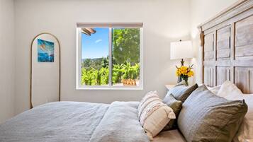 熨斗/熨衣板、WiFi