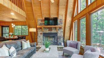 TV, fireplace, video games, books