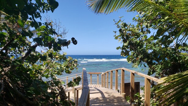 Un escalier en bois menant à une plage offrant une vue sur l’océan, le tout entouré d’une végétation luxuriante.