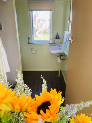 Hiustenkuivaaja, pyyhkeet, saippua, sampoo