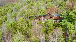 Eine Hütte, umgeben von dichtem Wald, mit einer Holzterrasse und mehreren Fenstern.