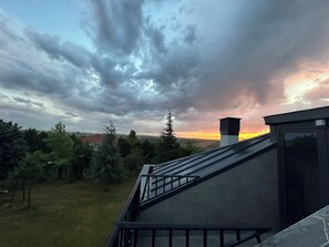 Chambre de base, balcon, vue sur le jardin | Terrasse/patio