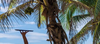 Sana Tulum Beachfront Boutique Hotel