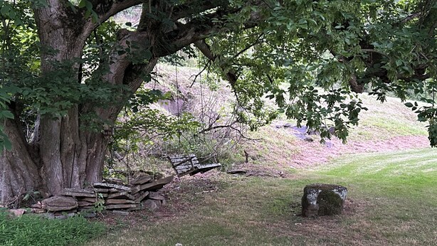 Uklassifisert bilde, 1 av 28, knapp