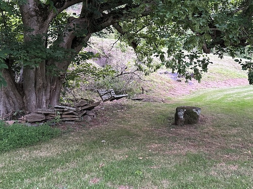 Fogarty on the Elk River kayaking, fishing or Elk River Rail Trail Frametown. 