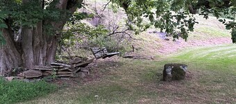 Fogarty on the Elk River kayaking, fishing or Elk River Rail Trail Frametown. 