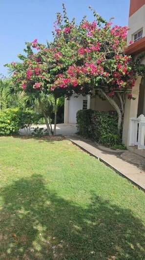 Overnatningsstedets område