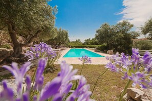 A swimming pool surrounded by trees and purple flowers. - Villa 'Trullo Agapanthus with Panoramic' with Private Pool, Wi-Fi and Air Conditioning (Ostuni)