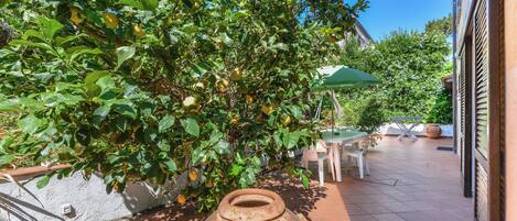 Terrazza/patio