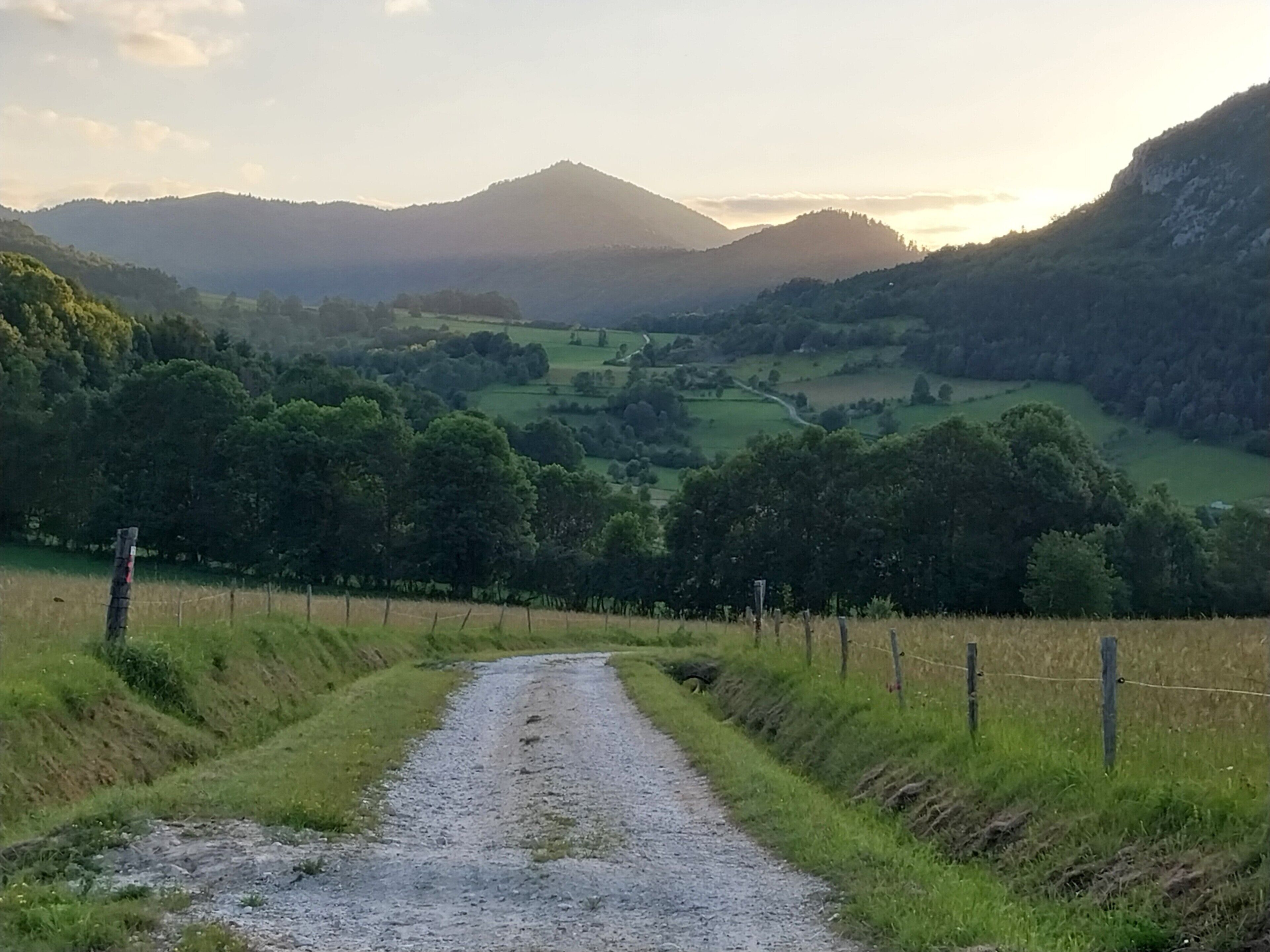 Un chemin de gravier traverse un paysage rural, avec des collines douces et des arbres.
