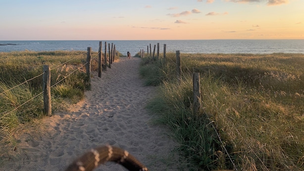 Een zandpad dat naar het strand leidt, met houten palen aan weerszijden.