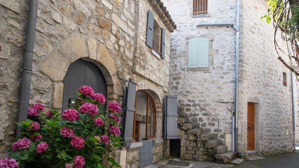 A stone building with arched windows and a door, a small staircase, and a flower bush in the foreground. - Holiday Home 'Gite De L'écurie' with Air Conditioning (Berrias-et-Casteljau)