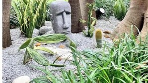 未分类图片，第 3 张，共 31 张，按钮
