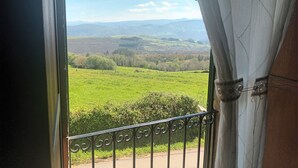 Blick durch ein Fenster mit Vorhang, zeigt eine grüne Landschaft mit Bäumen und Hügeln.