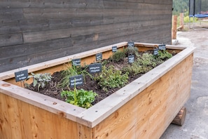 Un parterre surélevé, délimité par des bordures en bois, avec des étiquettes noires indiquant les différentes herbes aromatiques qui y sont cultivées.