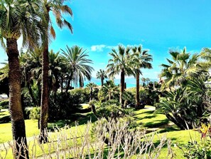 Property grounds - StudioCalifornia-Parking-Plages 15 min walk (CANNES)