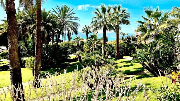 A lush garden with palm trees and manicured lawns. - StudioCalifornia-Parking-Plages 15 min walk (CANNES)