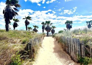A sandy path flanked by wooden fences and palm trees, leading towards a beach.