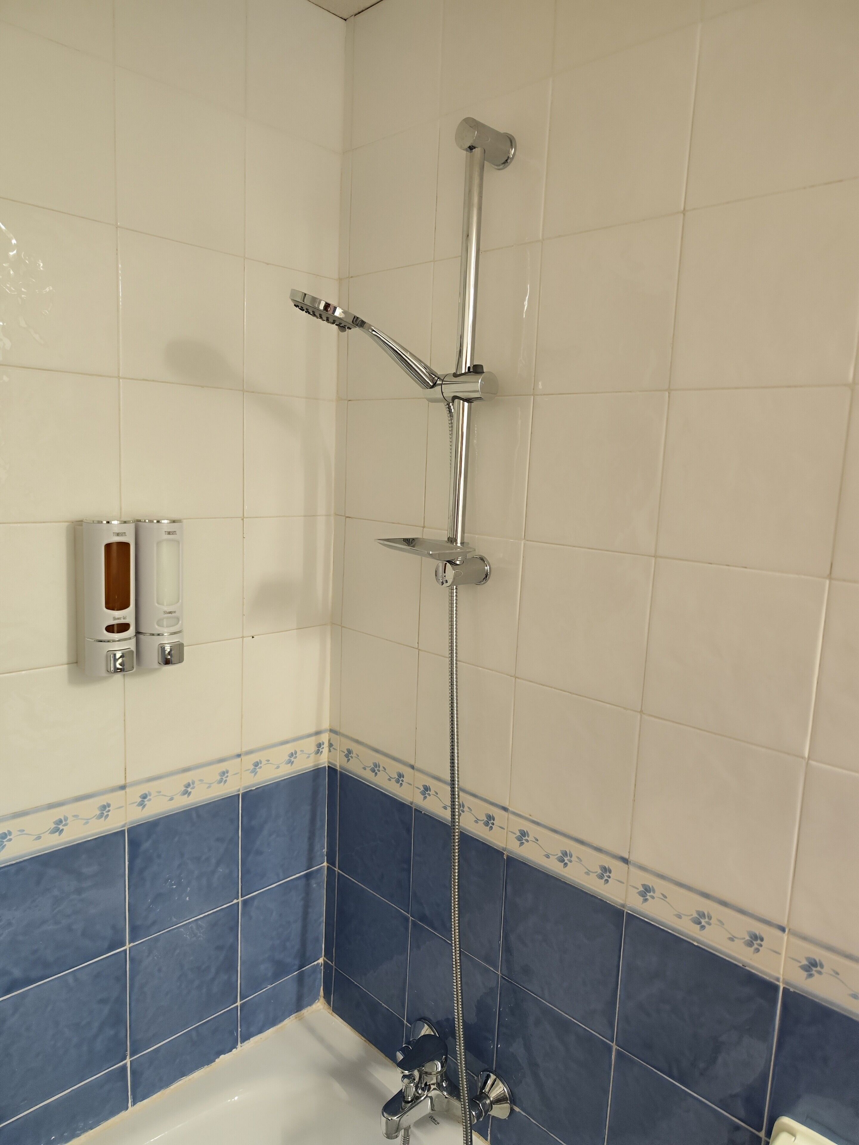 A shower with a handheld showerhead and a wall-mounted faucet.