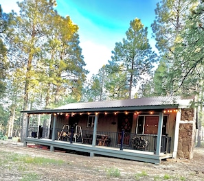 A rustic cabin with a porch, surrounded by tall pine trees.