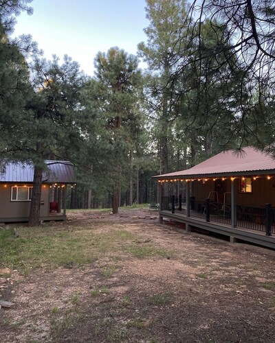 Cozy, quiet picturesque cabin in the pines & perfect escape from the heat!