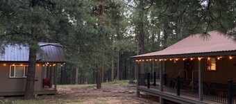 Cozy, quiet picturesque cabin in the pines & perfect escape from the heat!