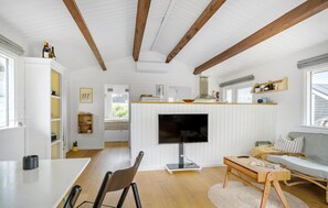 Smart-TV, Kamin