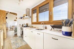 Fridge, oven, stovetop, dishwasher