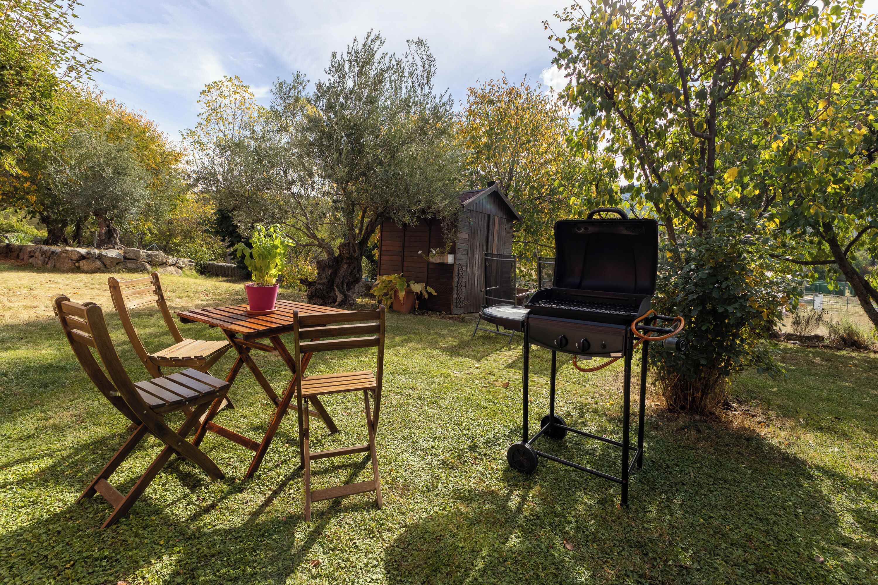 Opções para refeição ao ar livre