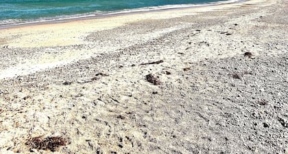 Charming Cape Cod summer house conveniently located with plenty to offer.