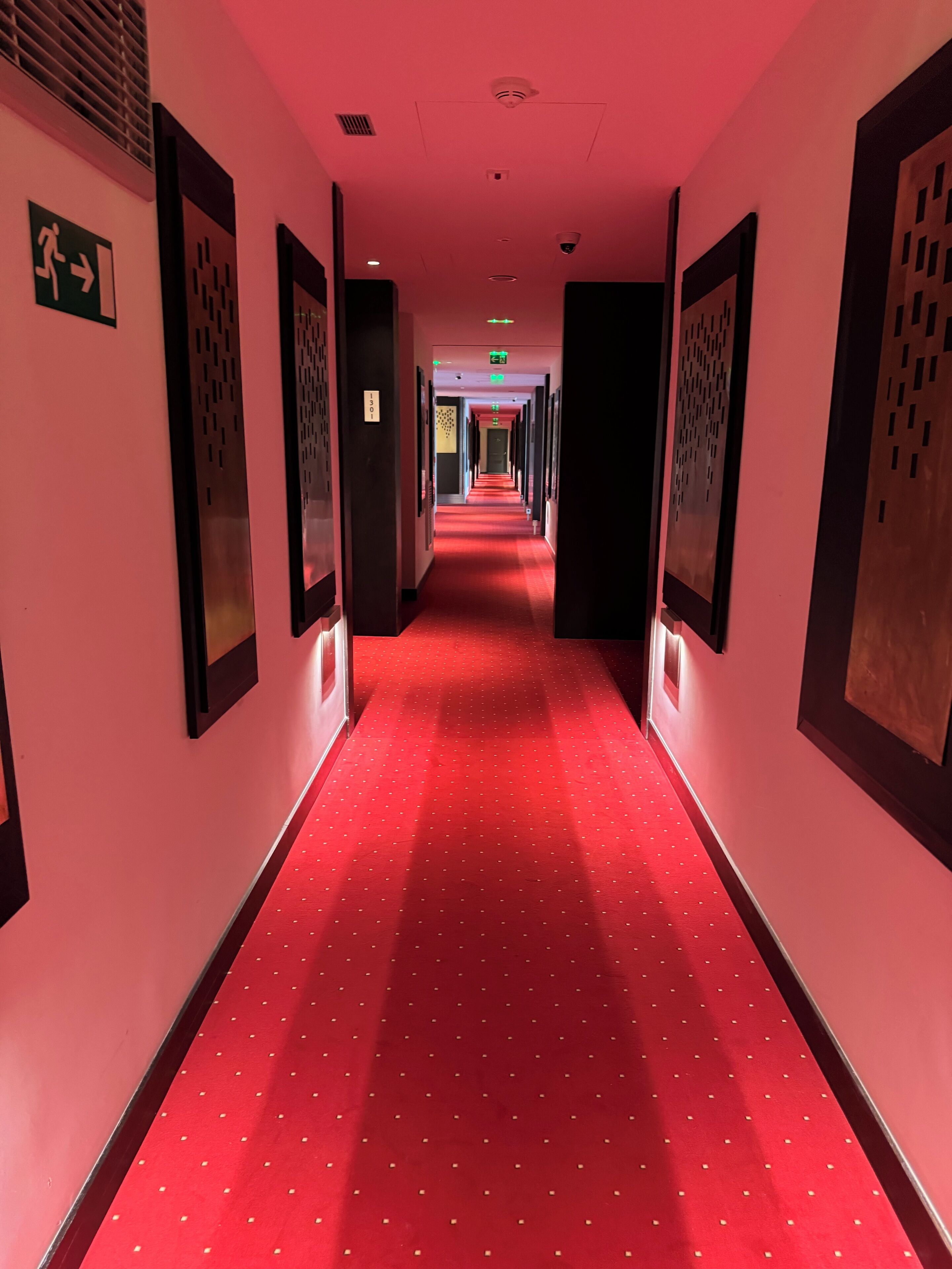 A red carpeted hallway with framed artwork on the walls, leading to a door at the end.