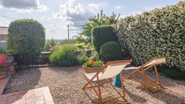 Une terrasse de jardin avec deux chaises en bois, une plante en pot et une haie.