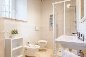 Shower, hair dryer, bidet, towels