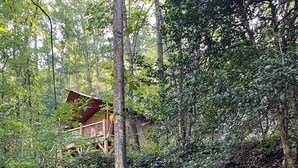 Un chalet rustique niché au milieu des arbres, un petit ruisseau bordé de rochers et une végétation luxuriante.