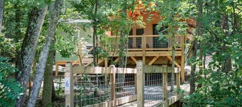 Safari Tent nestled in the woods, creek side, furnished balcony, pet friendly, sleeps 5.