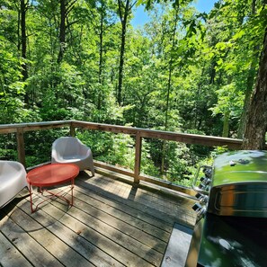 Property grounds - Romantic treehouse nestled on the creek, private deck, loft bedroom, shower skylights, bridge, sleeps 3. (Mill Spring)