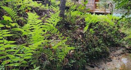 Two person Pod on the creek, Deck, private firepit, full bathroom, Kitchenette, Sleeps 2.