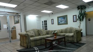 Una sala de estar con sofá, mesa de centro, alfombra y planta en maceta.