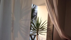 A room with a bed, a chair, a large potted plant, and a view of the outdoors through a window with curtains.