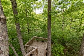 Property grounds - Bucky's Hideaway (Todd)