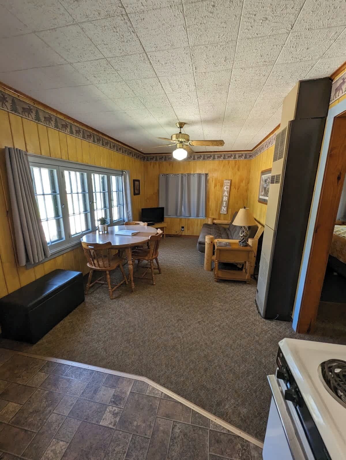 Télévision, table de tennis de table, livres