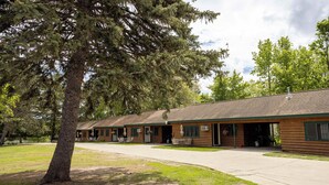 A row of log cabins with a paved driveway and a large tree in the foreground.