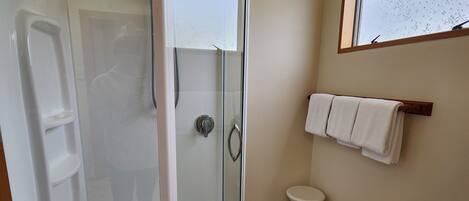 A bathroom with a glass-enclosed shower, a toilet, and a window.