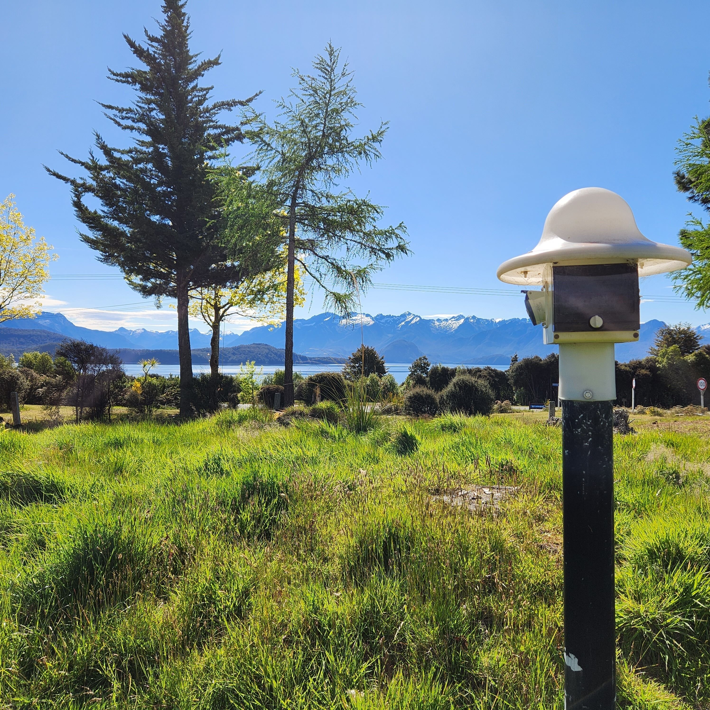 A parking meter with a white top, located in a grassy area with trees and mountains in the background.