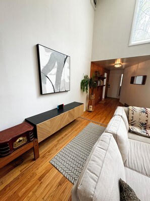 TV connectée, cheminée, jeux vidéo, lecteur de DVD