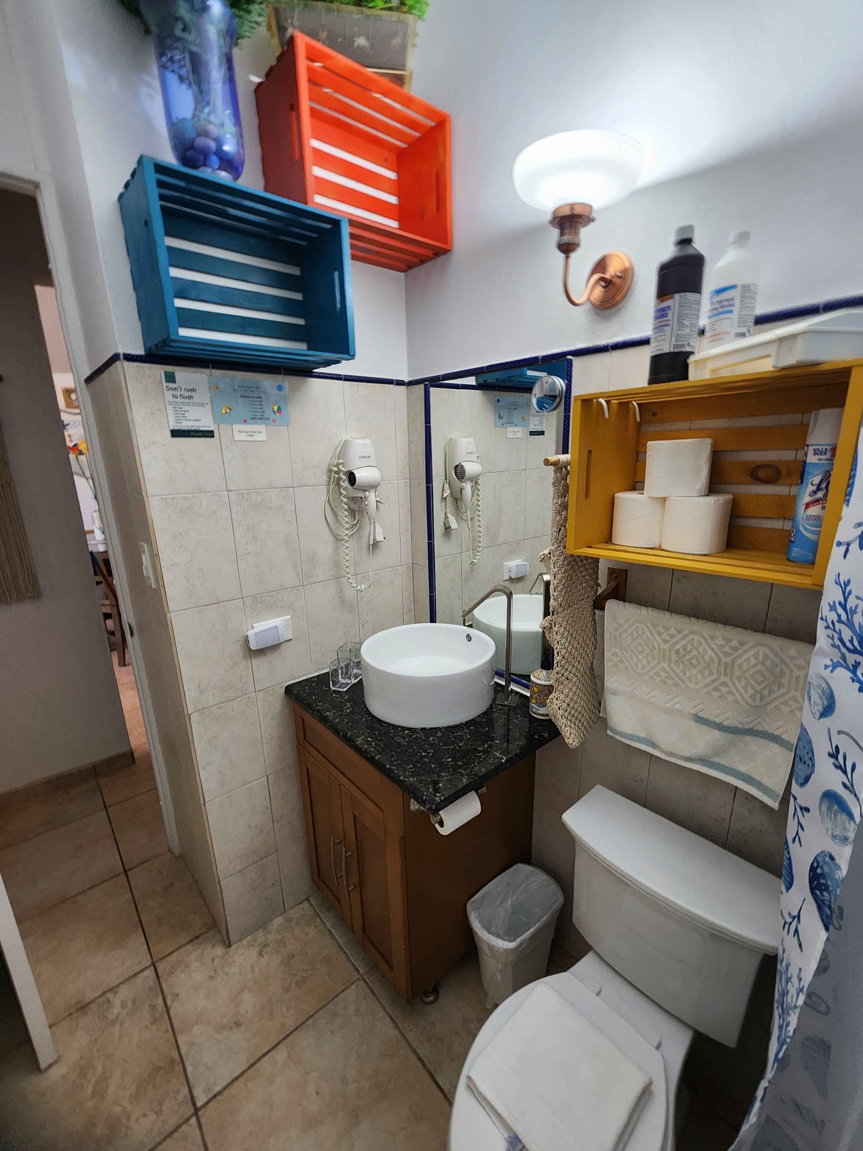 Hair Dryer/  Shampoo/ Conditioner/Body wash/ Toilet Paper. 