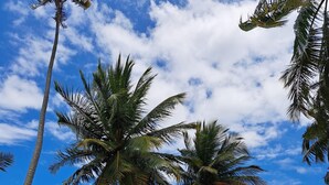 A beach with palm trees and the ocean. - Ocean Breeze Villa. (Arroyo)